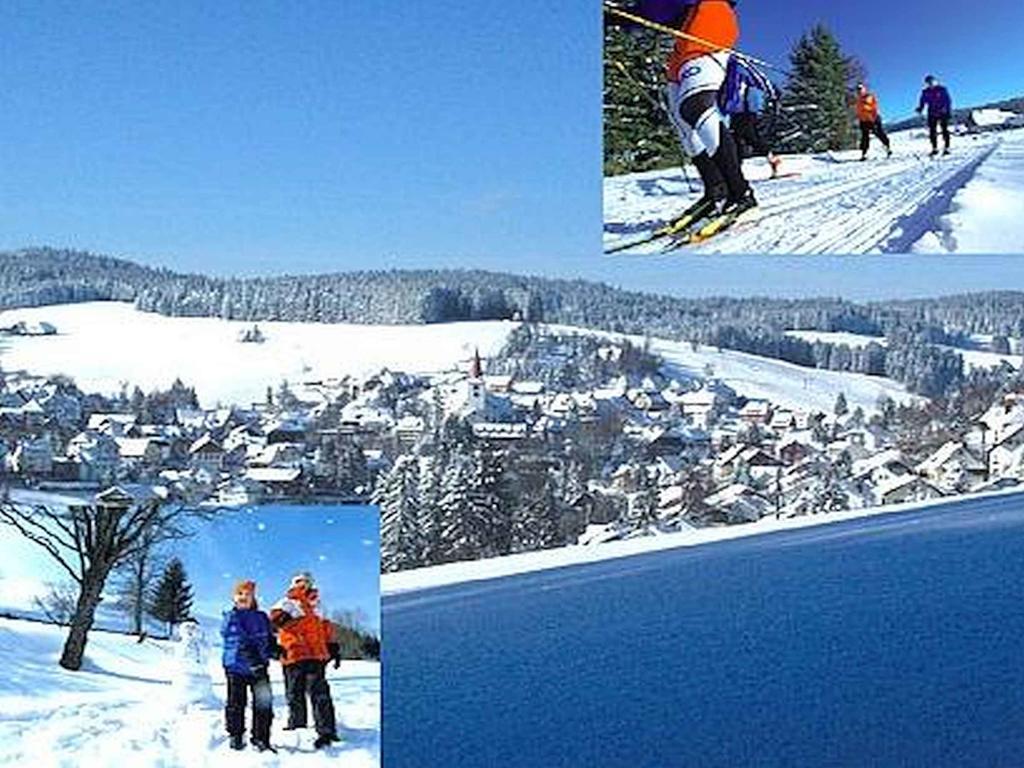 Appartmentvermietung Terrassenpark Schonach Schonach im Schwarzwald Εξωτερικό φωτογραφία