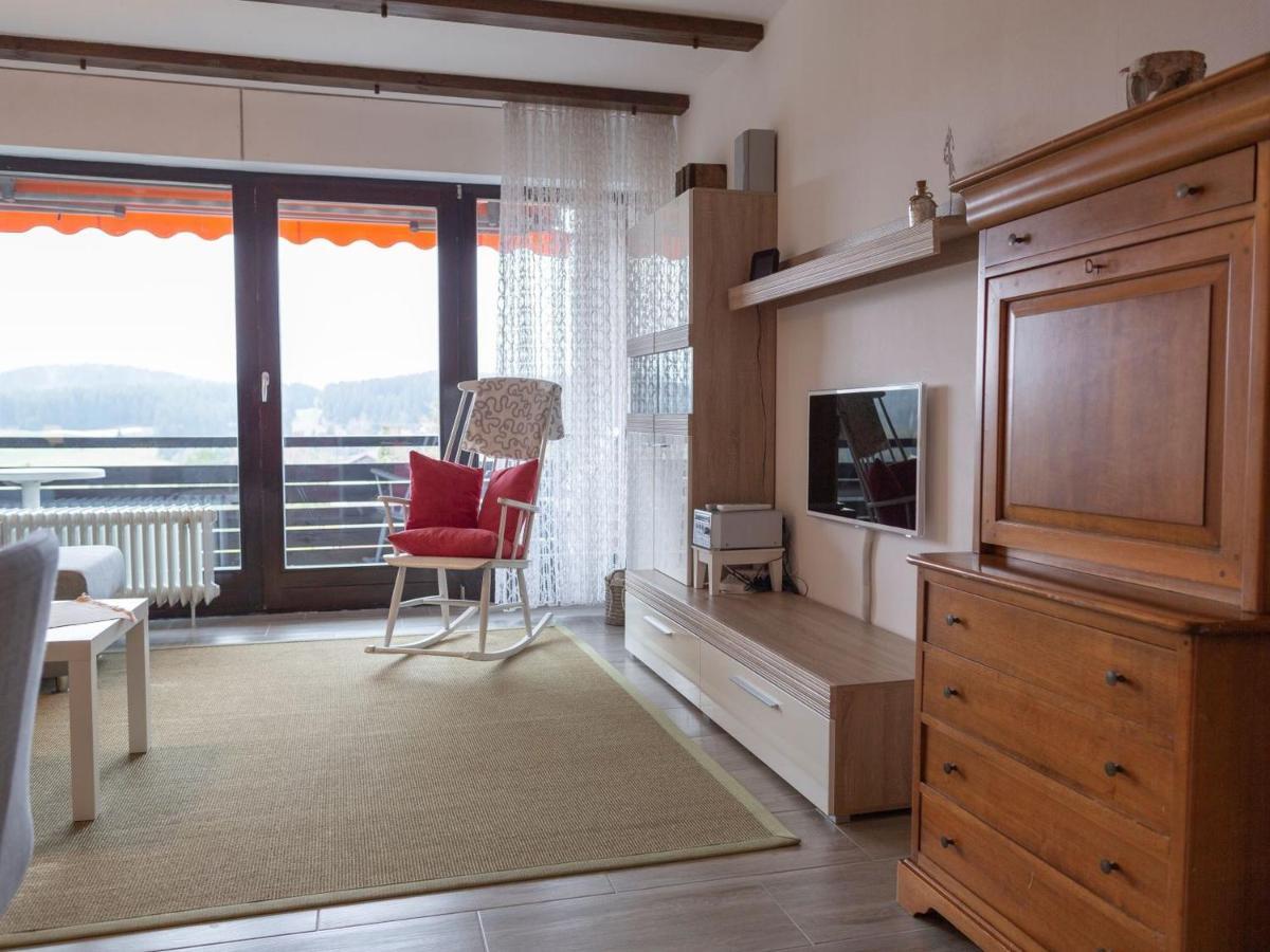 Appartmentvermietung Terrassenpark Schonach Schonach im Schwarzwald Εξωτερικό φωτογραφία